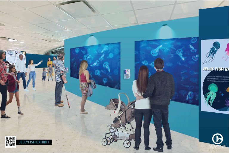 Clearwater Marine Aquarium Unveils Rising Tides Expansion Plan