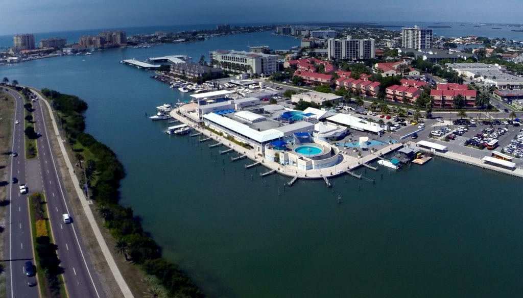 Board of Directors Clearwater Marine Aquarium