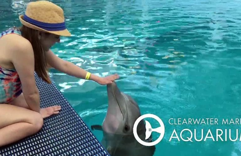 Maddi meets dolphins