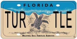 Protecting Florida Springs - Clearwater Marine Aquarium