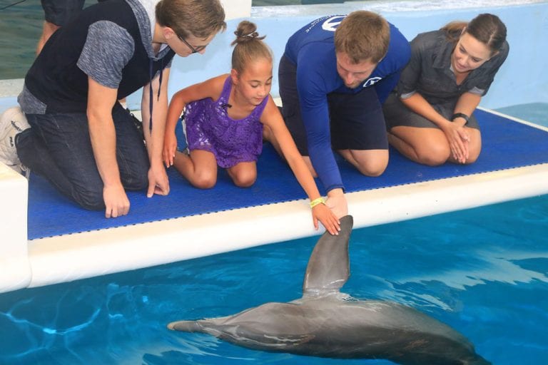 mayra meets dolphin tale actors