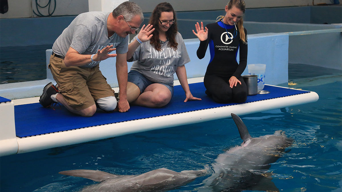 Amputee counselors meet dolphins