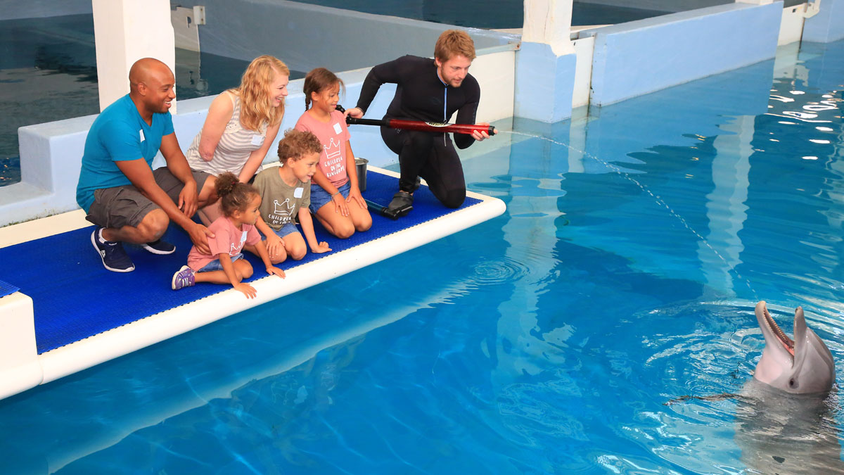 Tiffany Johnson family with dolphin