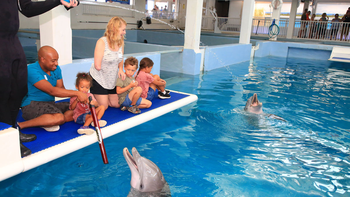 Tiffany Johnson family on dolphin platform