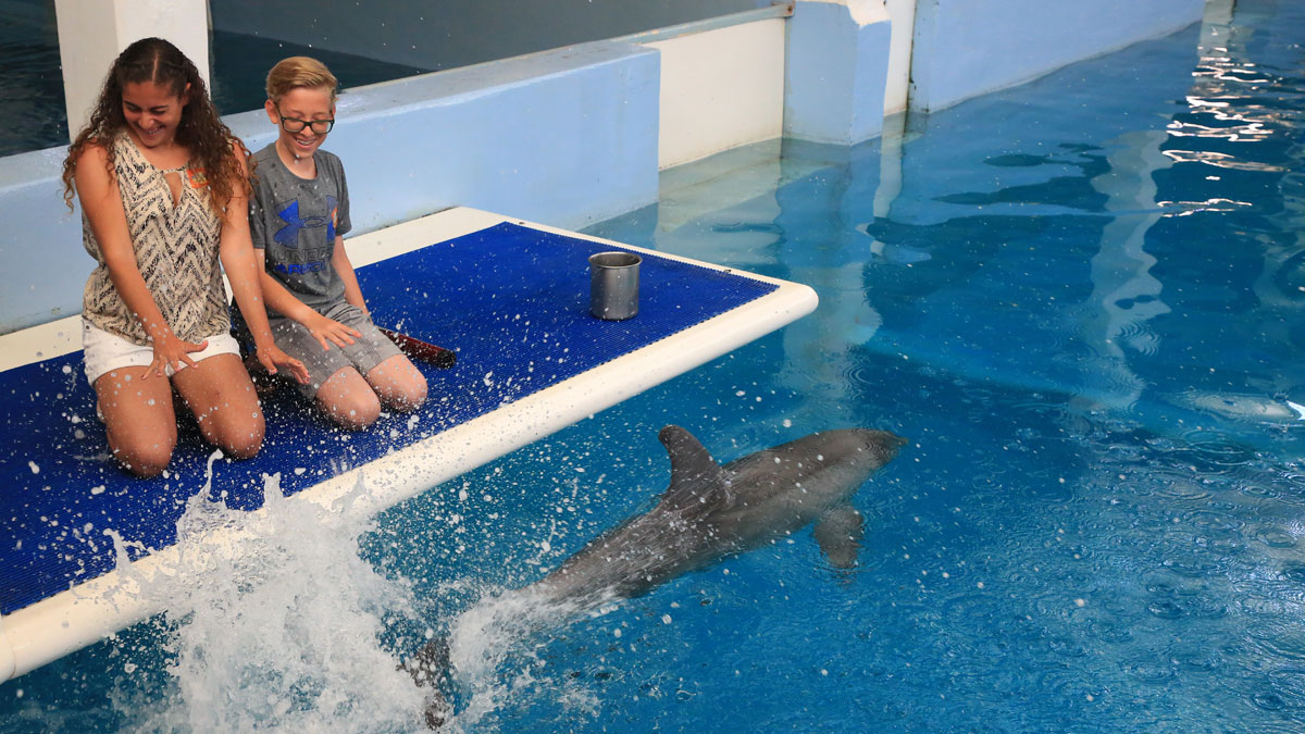 Kids at dolphins platform getting splashed