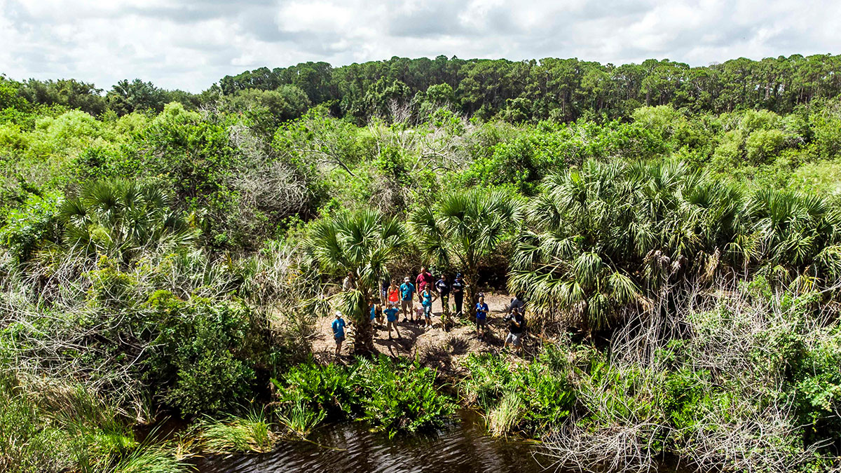 wildlife release at Florida state park