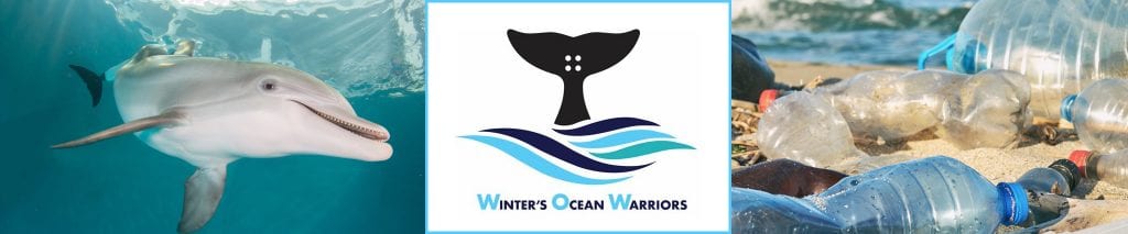 Winter's Ocean Warrior