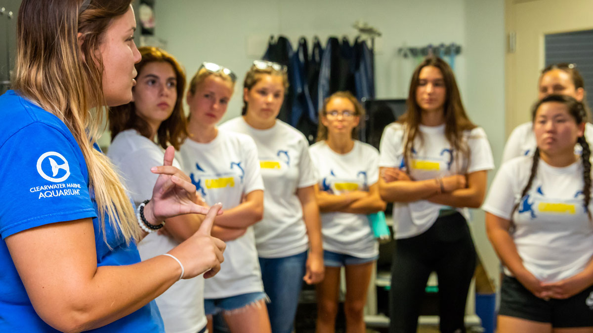 Careers in Marine Science Clearwater Marine Aquarium