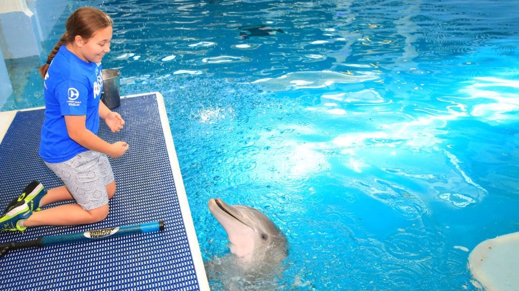 Young Fan Delivers Home Run Donation for Winter and Hope Clearwater