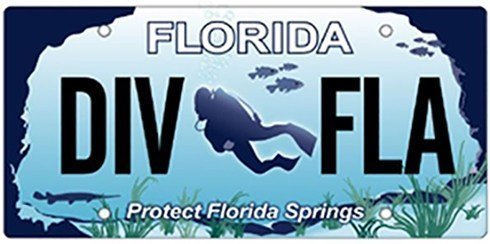 Protecting Florida Springs - Clearwater Marine Aquarium