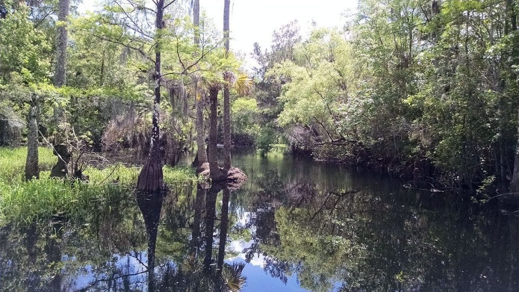 Ocklawaha River