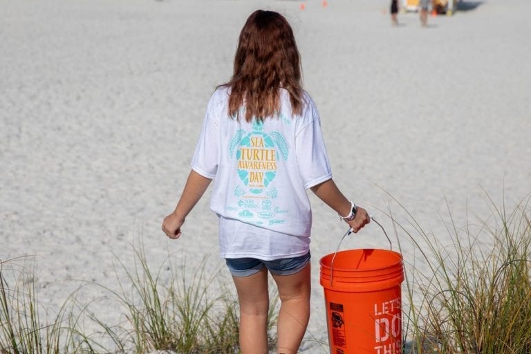sea turtle awareness day beach cleanup