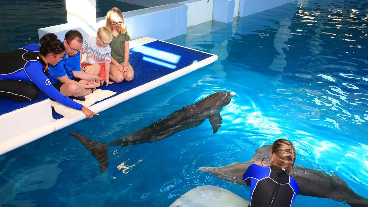 A Wounded Warrior Connects With Winter's Story After Brain