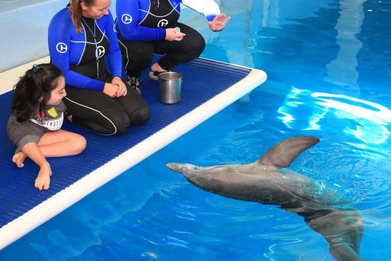 Luciana meeting dolphins on platform