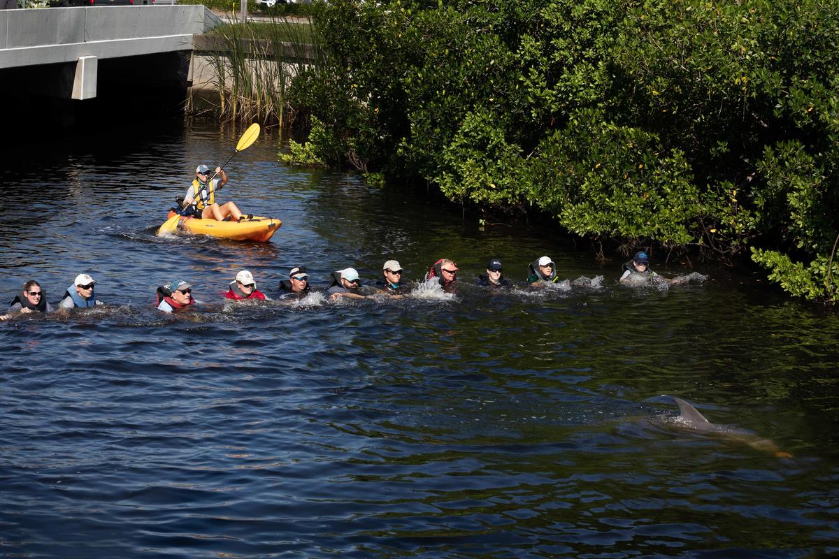 Rescue, Rehab, Release Clearwater Marine Aquarium