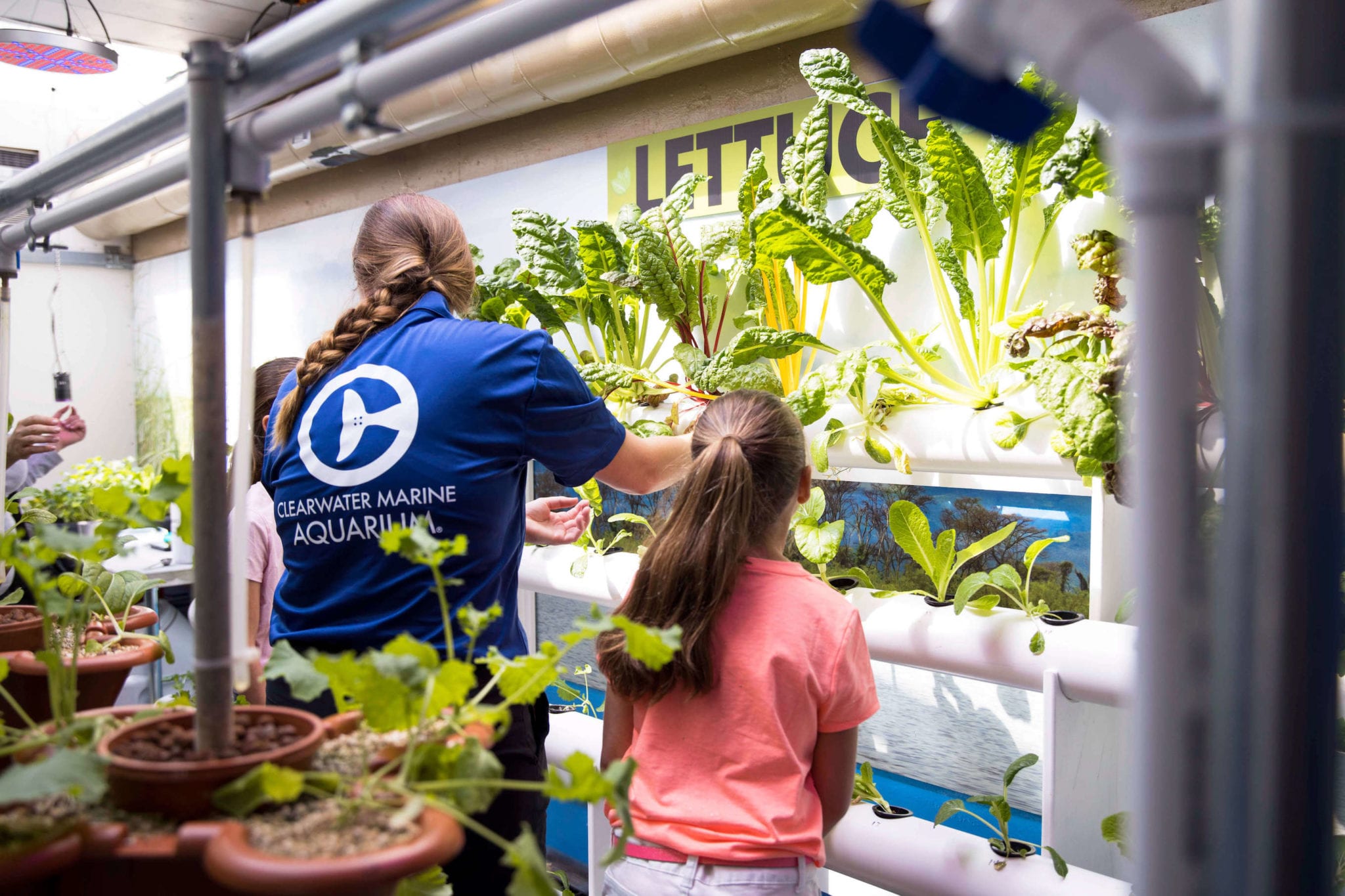 Careers & Internships Clearwater Marine Aquarium