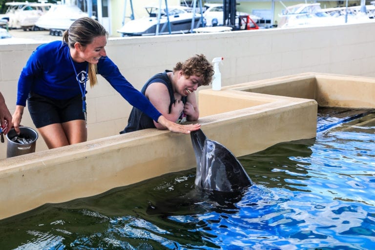 CMA Crew Petting Dolphin