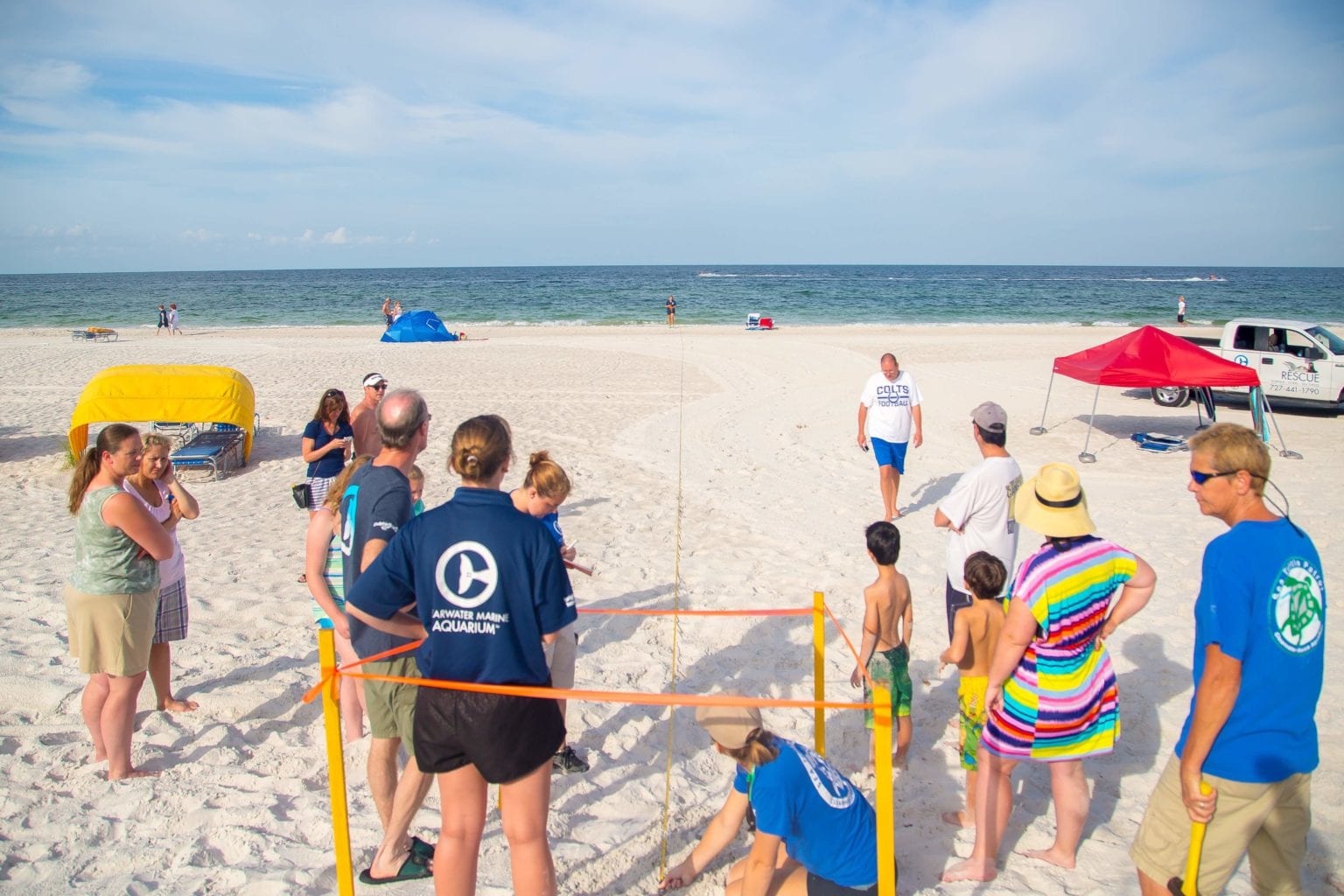 Conservation & Research - Clearwater Marine Aquarium