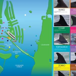 Clearwater Marine Aquarium Map Conservation & Research - Clearwater Marine Aquarium