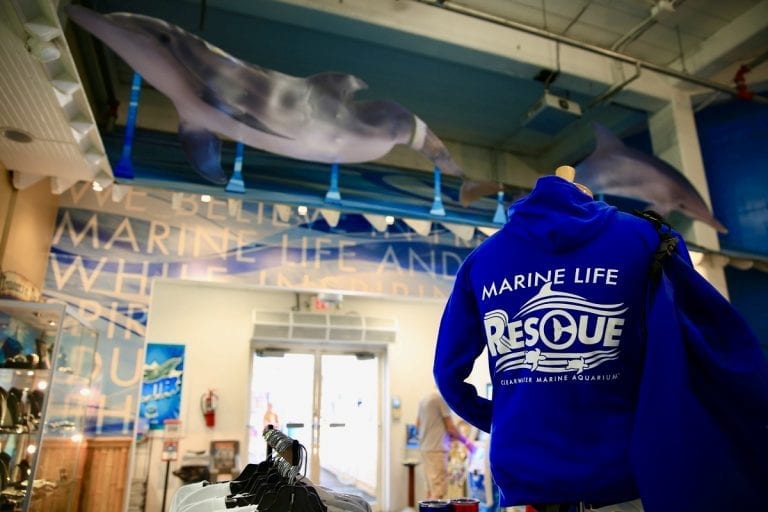 Ways to Help CMA Clearwater Marine Aquarium