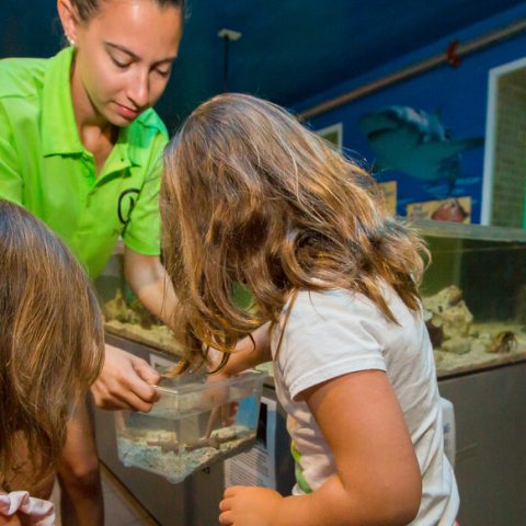 girls looking in touch tank
