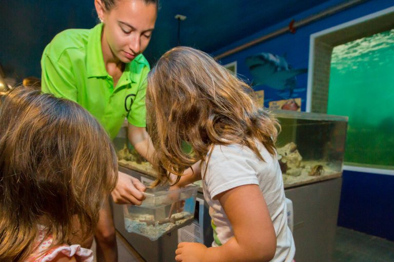 girls looking in touch tank