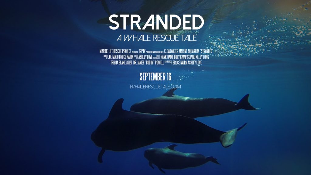 Stranded film premiere