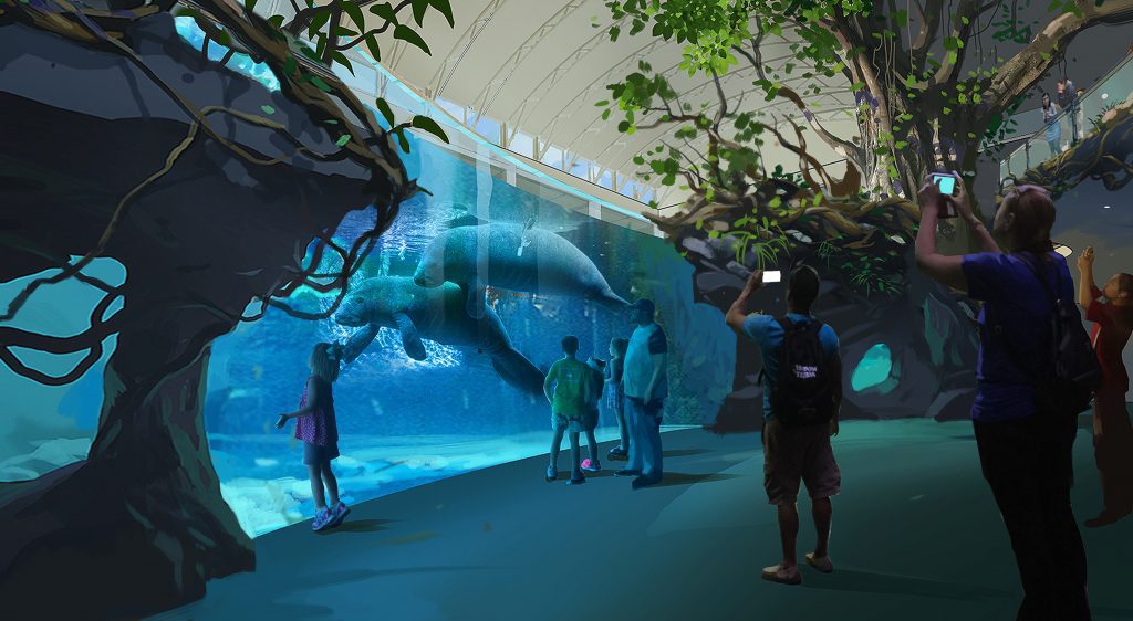 manatee rehab rendering