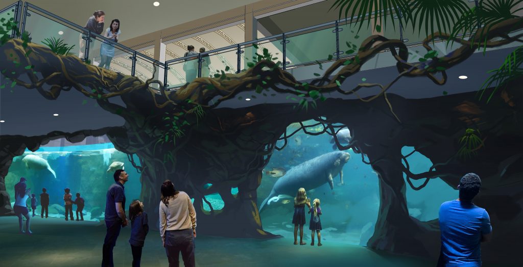 manatee rehab rendering