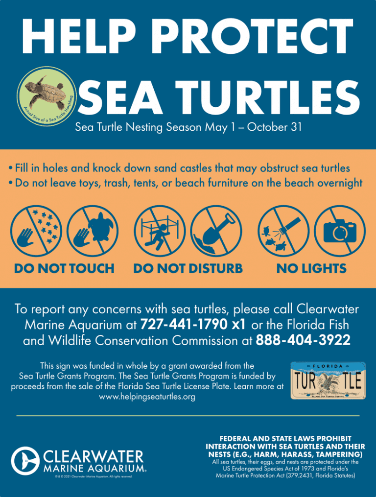 Grant Awarded for Sea Turtle Nesting Signage - Clearwater Marine Aquarium