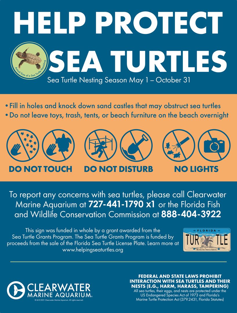 Grant Awarded for Sea Turtle Nesting Signage Clearwater Marine Aquarium