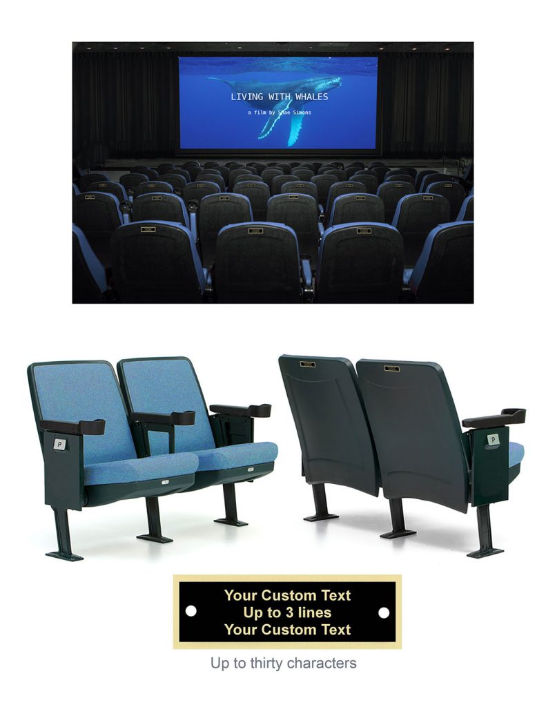 theater seats