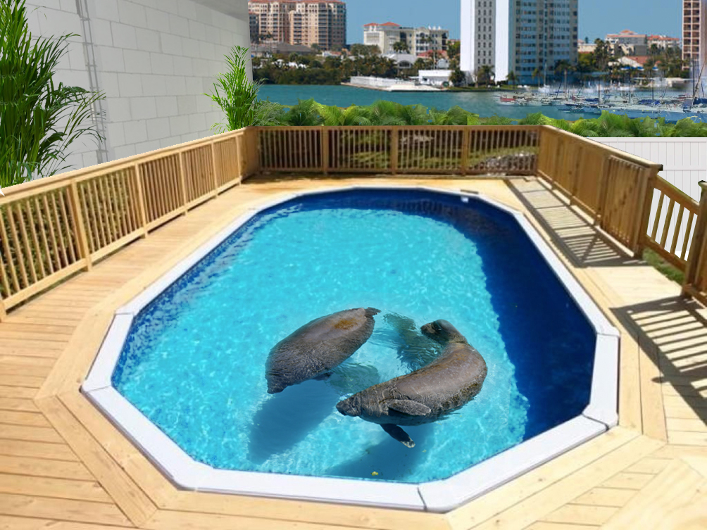 Aquarium Pools  Looking for developers - Recruitment - Developer