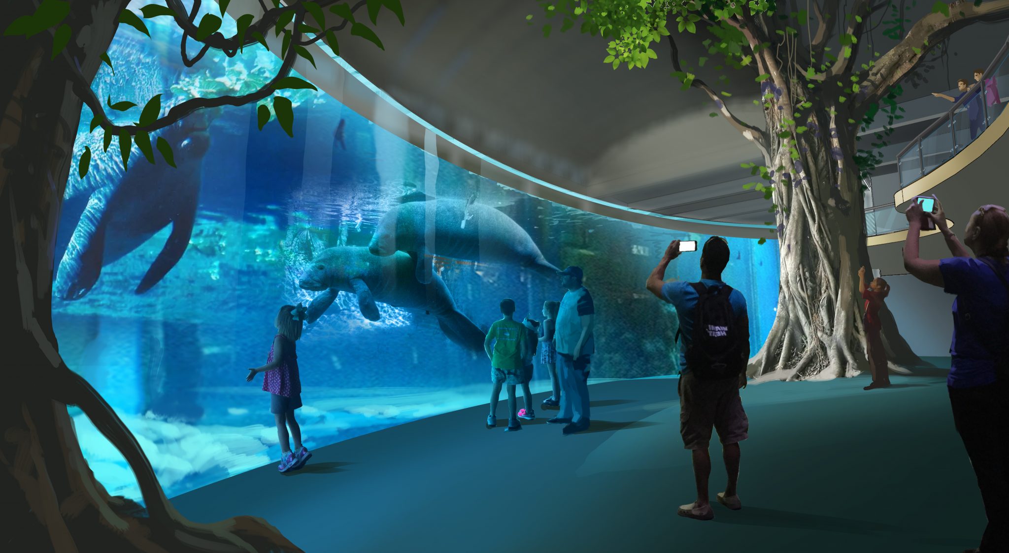 Clearwater Marine Aquarium Announces Manatee Survival Plan