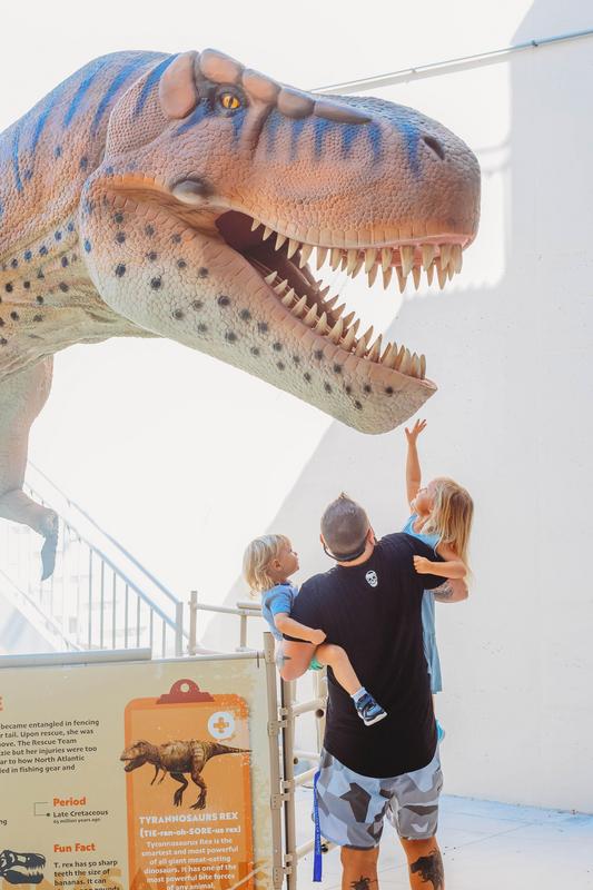 Dino Rescue - Clearwater Marine Aquarium