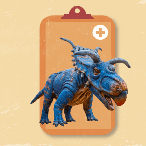 Dino Rescue Patients – Wanda & Timothy - Clearwater Marine Aquarium