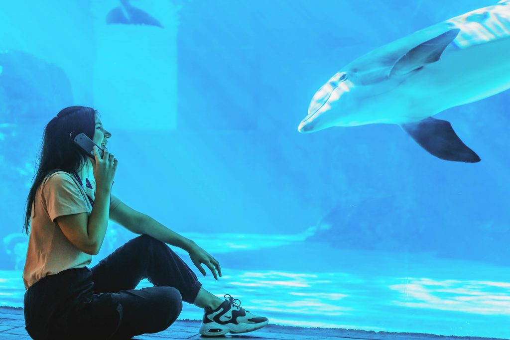 Clearwater Marine Aquarium Launches New Audio Tour Sponsored By Baycare