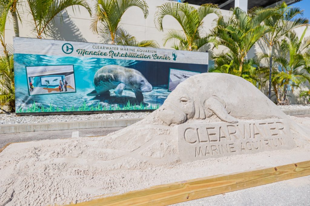 Clearwater Marine Aquarium's Manatee Rehabilitation Center