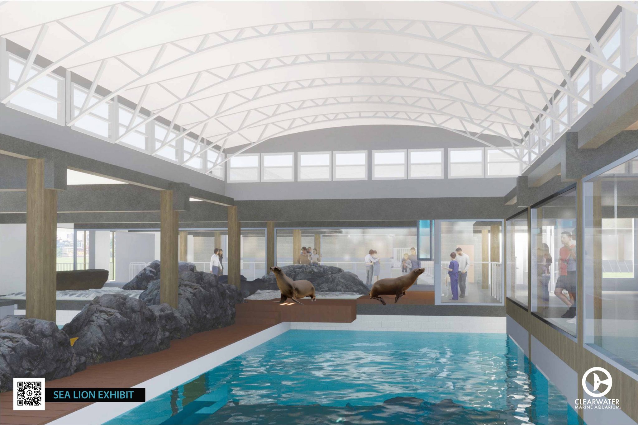 Clearwater Marine Aquarium Unveils 'Rising Tides' Expansion Plan ...