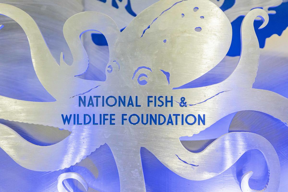 Sponsors and Partners Clearwater Marine Aquarium