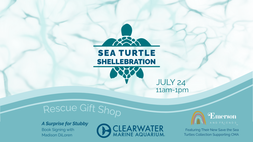 Sea Turtle Shellebration