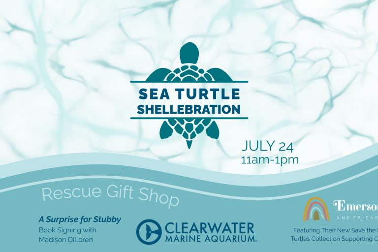 Sea Turtle Shellebration
