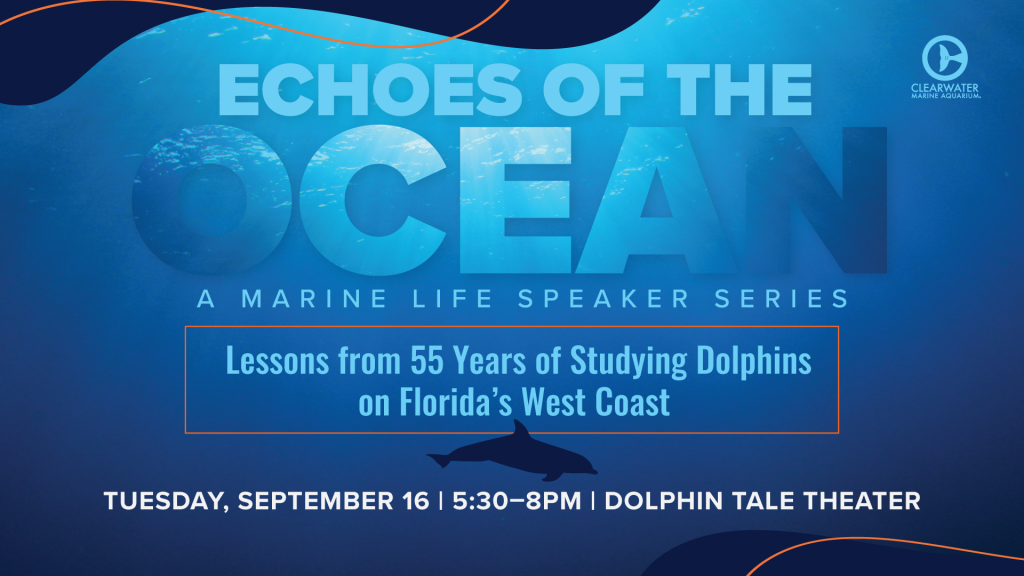 Echoes of the Ocean