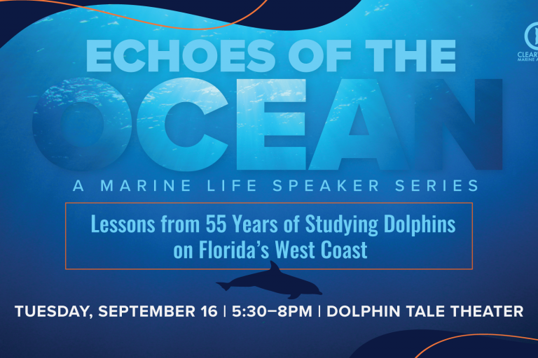 Echoes of the Ocean