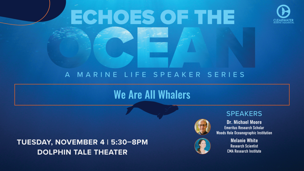 Echoes of the Ocean