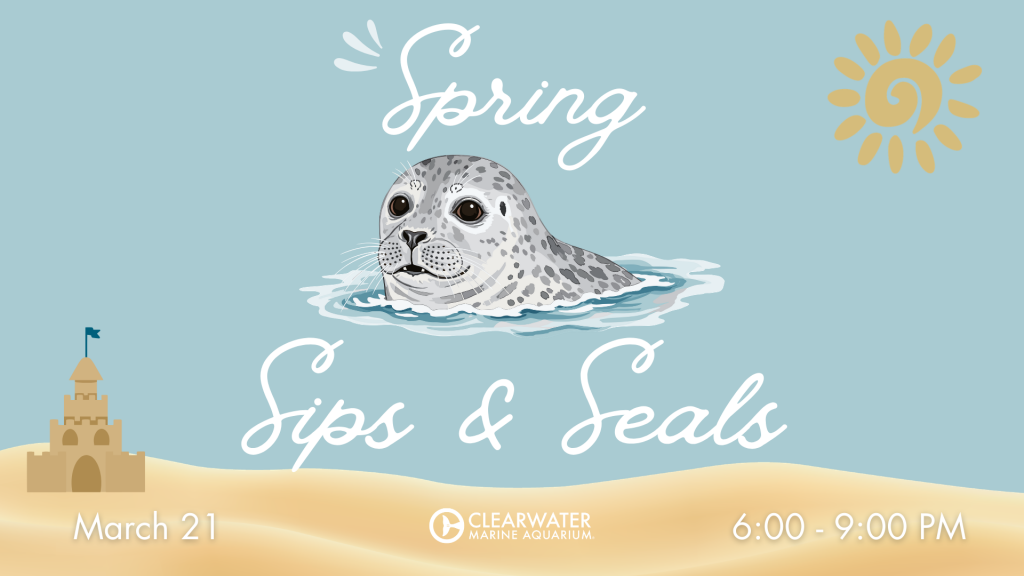 Spring Sips & Seals