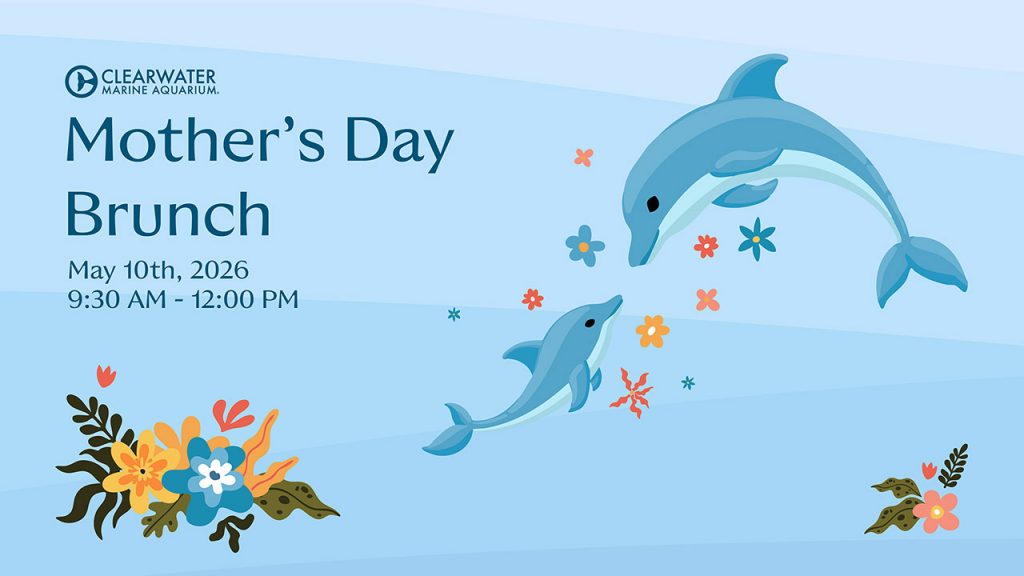 Mother's Day Brunch at Clearwater Marine Aquarium