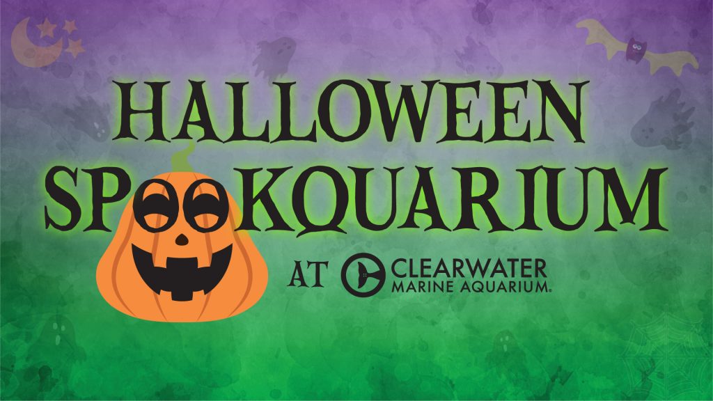 Graphic for CMA's Halloween Spookquarium