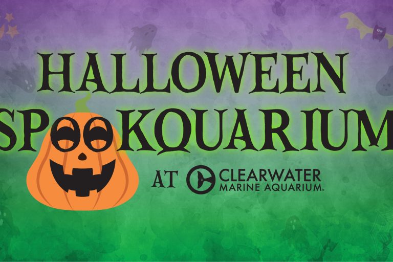 Graphic for CMA's Halloween Spookquarium